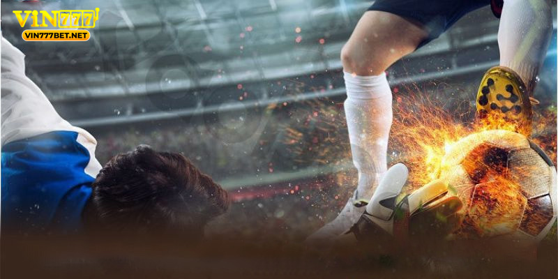 Top Nhà Cái Cá Cược Thể Thao Uy Tín Và Kinh Nghiệm Chọn Lựa Cái nhìn toàn diện về hoạt động và vai trò của nhà cái