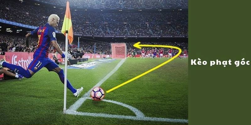 Tổng Hợp Các Luật Cá Độ Bóng Đá Tài Xỉu Trực Tuyến Phổ Biến Kèo tài xỉu đá bóng tổng bàn thắng tại Vin777