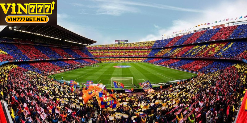 Hiểu rõ thuật ngữ bóng đá giúp nhận định trận đấu chính xác