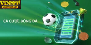 giai dau bong da 4